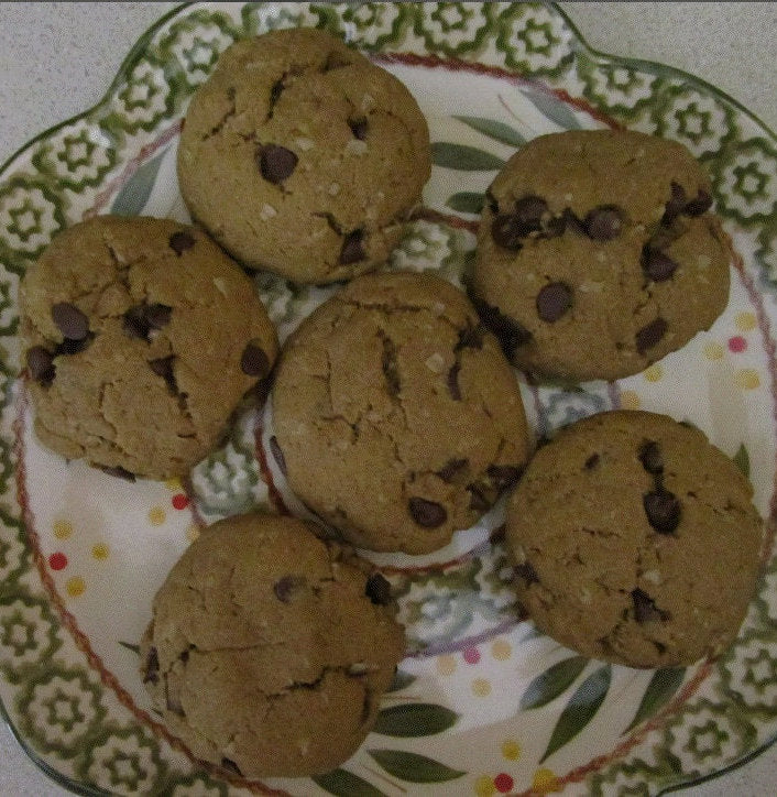 Protein Cookies, Chocolate Chip, Gluten Free, Dairy Free, Egg Free, Nut Free, Low Carb, Fitness Gift, Anabolic, Low Sugar, Father's Day Gift
