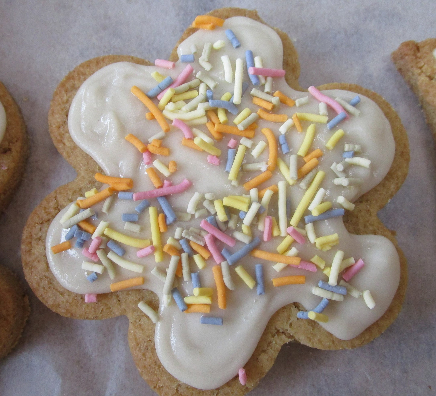Sugar Free Cookie, Gluten Free, Flower, Butterfly, Tulip, Mother's Day Gift, Vegan, Plant Based, Egg Free, Dairy Free, Spring, School Safe