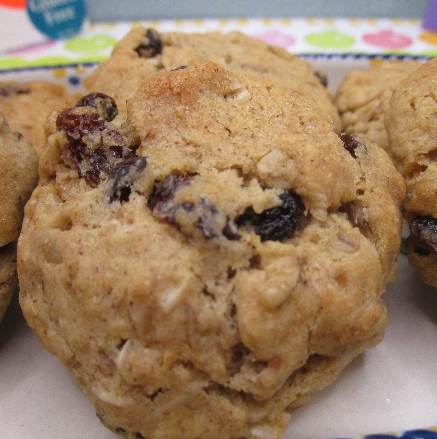 Oatmeal Raisin Cookie, Gluten Free, Dairy Free, Egg Free, Nut Free, Vegan, School Safe, Grandma's, Iced, Cinnamon, Sulfite Free, Fathers Day