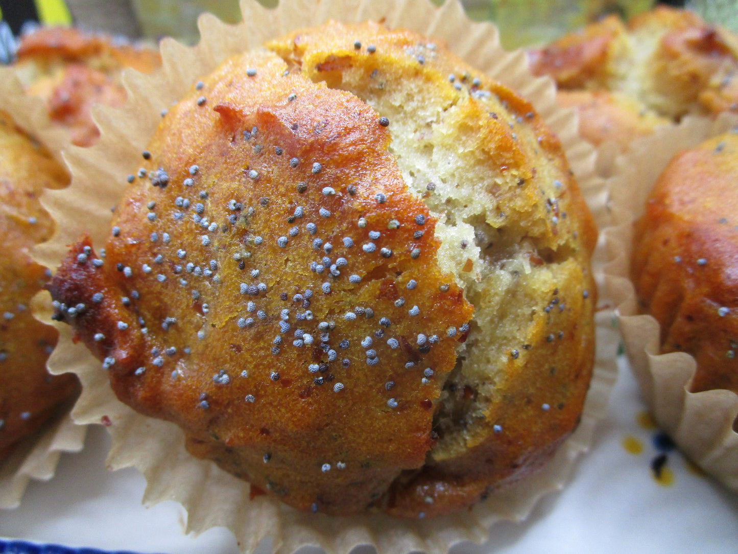 Sugar Free Muffins, Low Fat, Gluten Free, Dairy Free, Egg Free, Lemon Poppy, Cranberry Orange, berries, No Erythritol, Allulose, Low Calorie