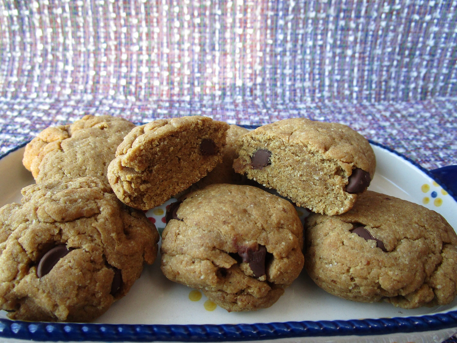 Gluten Free Protein Cookies, Dairy Free, Vegan, Nut Free, Sugar Free or low sugar, Fitness Snacks, plant based, school safe, portable treats