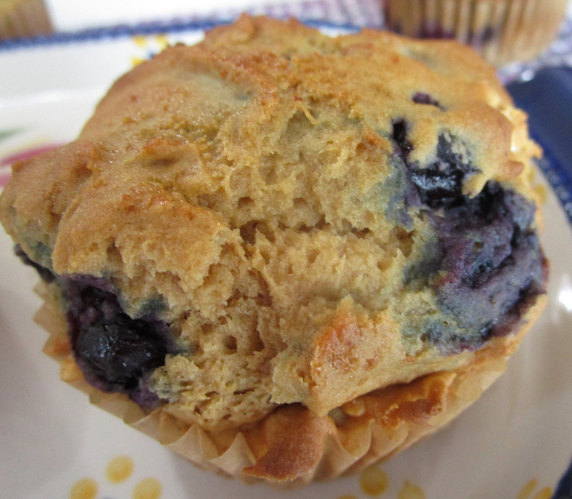 Gluten Free Blueberry Muffins, Dairy Free, Egg Free, Vegan, Nut Free, Low-Fat snacks, Wellness gifts, Holiday Breakfast, Coconut Sugar snack