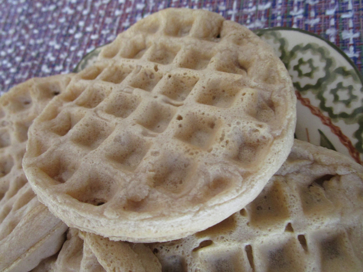 AIP Paleo Waffles, Grain Free, Gluten Free, Vegan, Egg Free, Dairy Free, Ready to go, No Sugar, Birthday Gift, blueberry, Healthy Breakfast