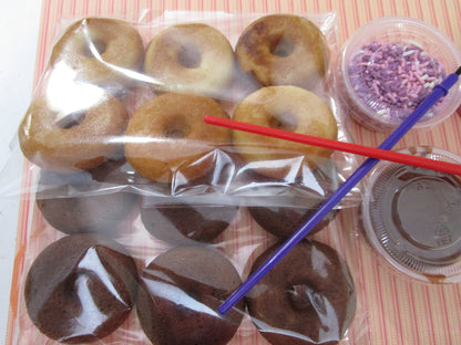 Gluten Free Donut Decorating Kit, Dairy Free, Egg Free, Vegan, Nut Free, School Safe, Birthday Party, Camp Crafts, July 4 Party, Sleepover