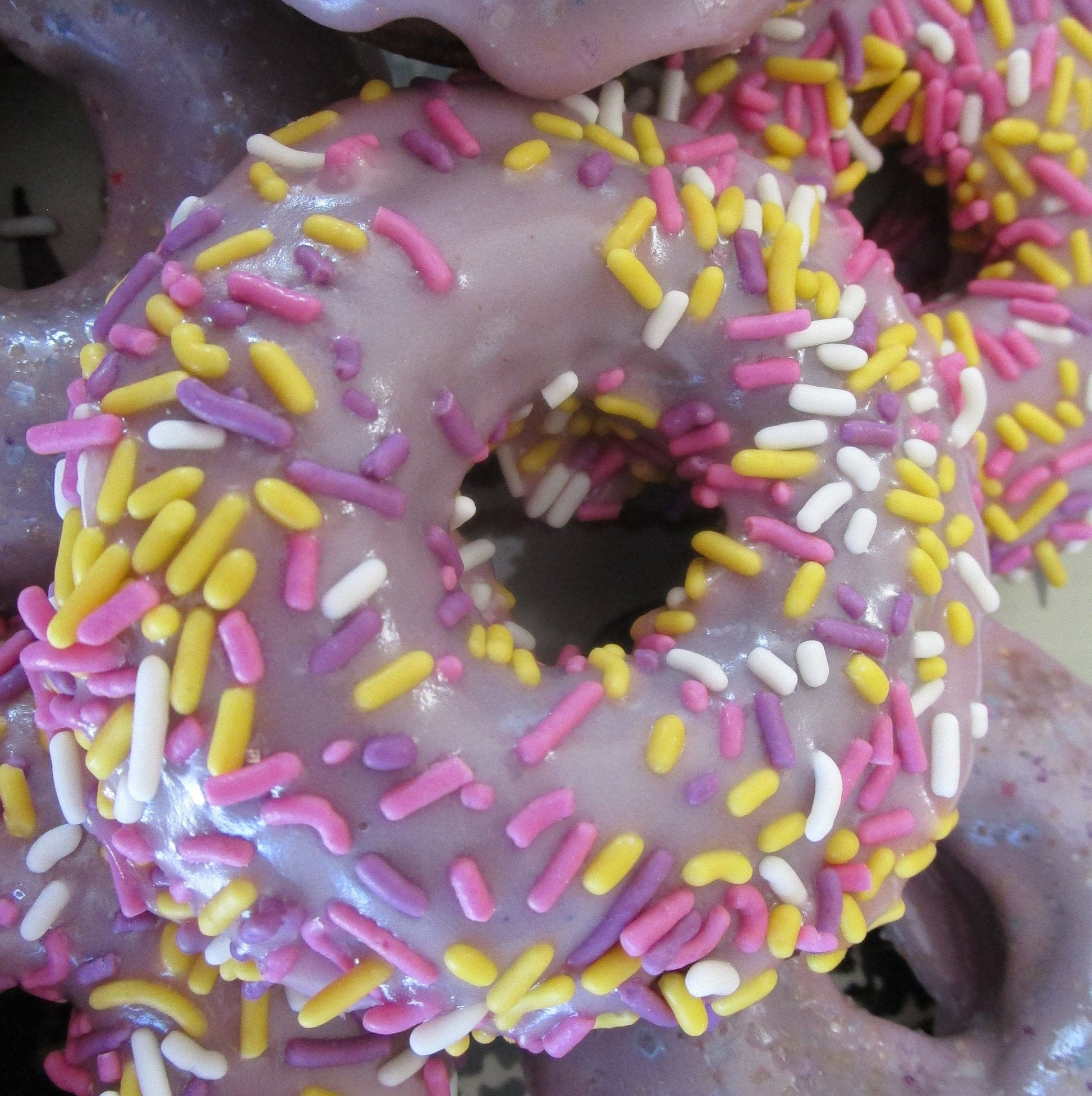 Gluten Free Donuts, Coconut Sugar, Dairy Free, Egg Free, Nut Free, Vegan, Plant Based Sprinkles, Birthday Gifts, Graduation Party, low Sugar
