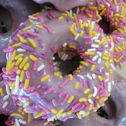 Gluten Free Donuts, Coconut Sugar, Dairy Free, Egg Free, Nut Free, Vegan, Plant Based Sprinkles, Birthday Gifts, Graduation Party, low Sugar