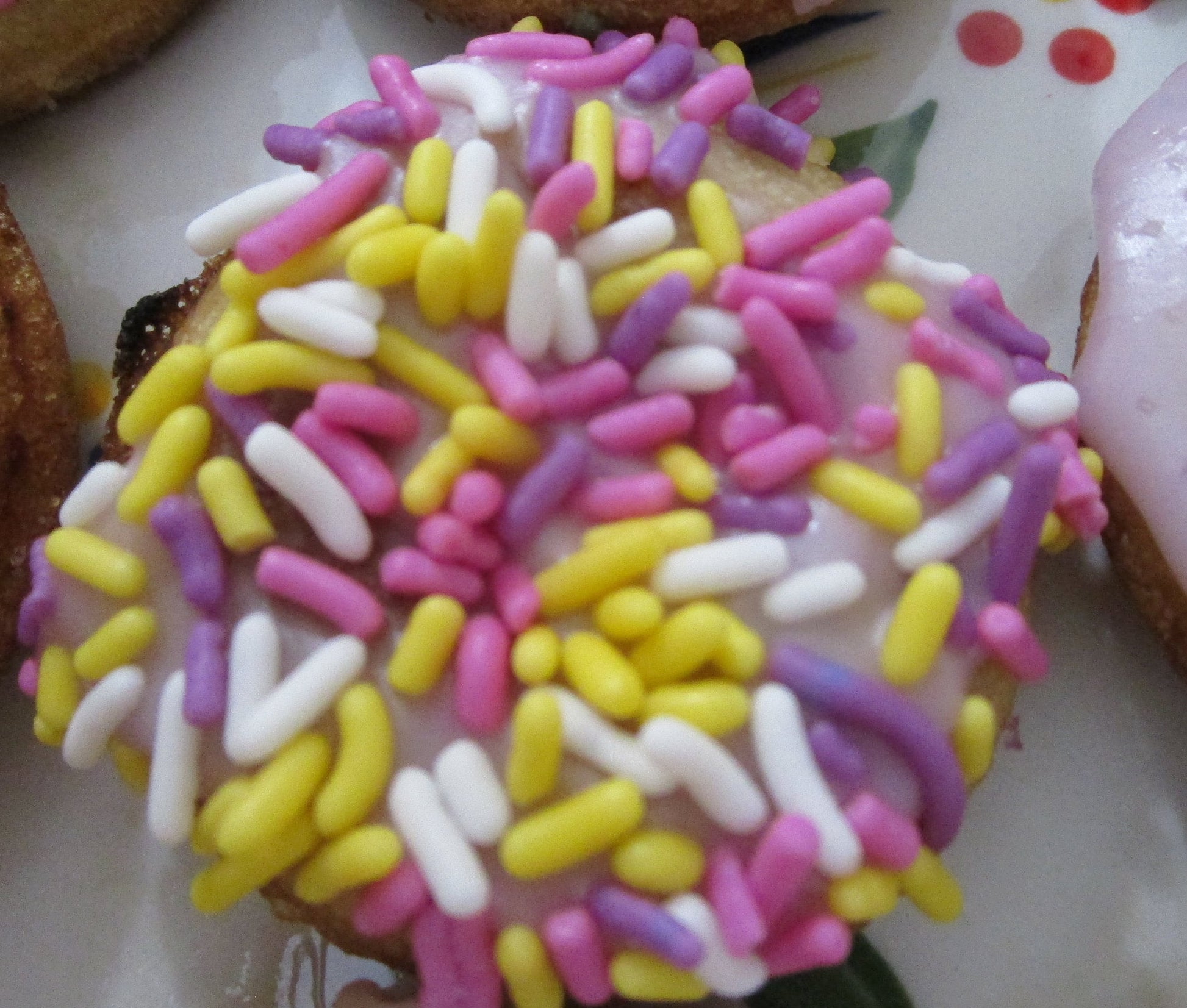 Mini Donuts, Gluten Free, Dairy Free, Egg Free, Vanilla, Chocolate, Nut Free, No artificial colors, Birthday, Graduation, Father's Day Gift