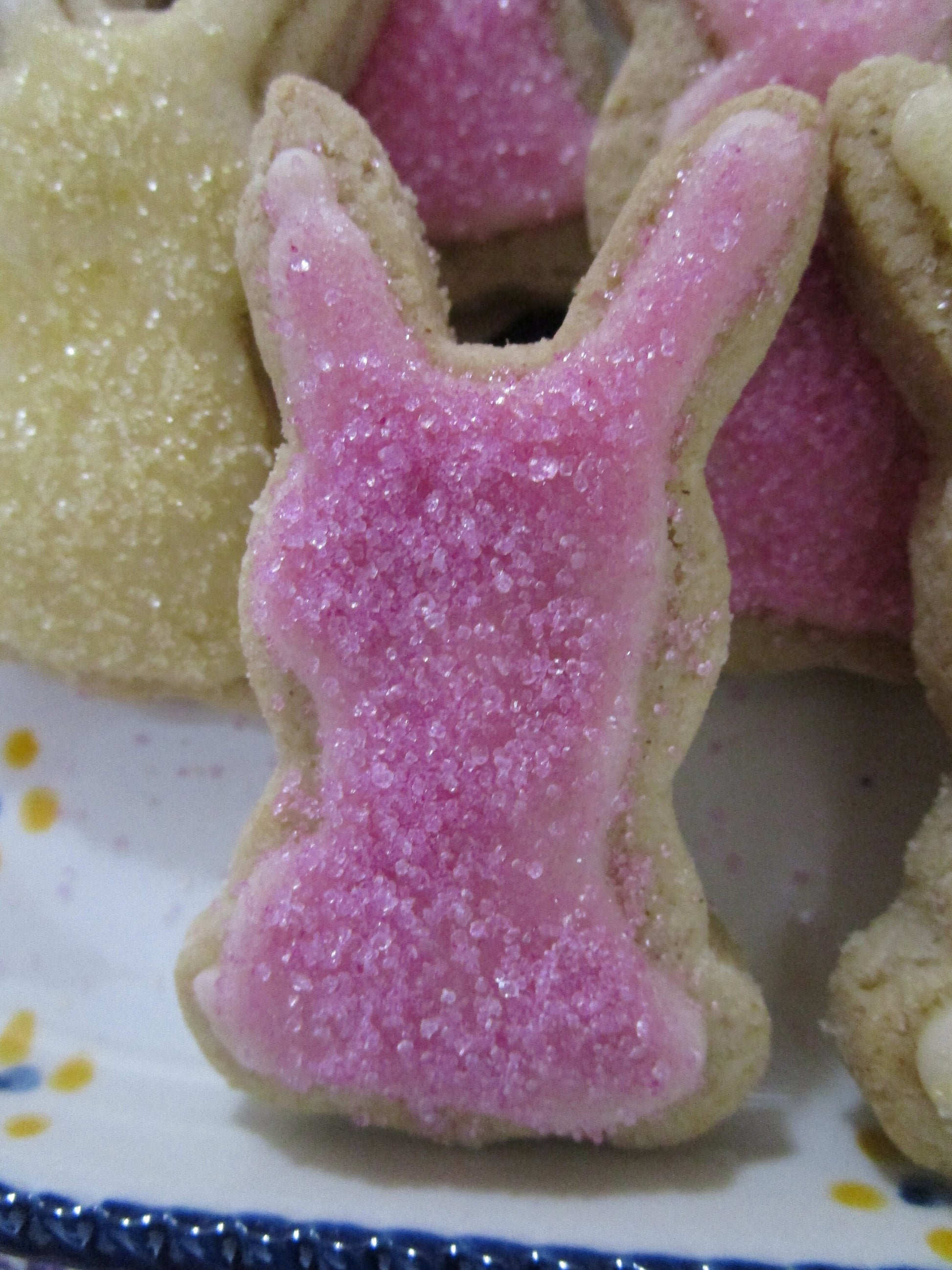 Sugar Free Cookies, Easter, Gluten Free, Dairy Free, Vegan, Egg Free, Nut Free, Healthy Gifts, Spring Dessert, Plant based Colors, Bunny