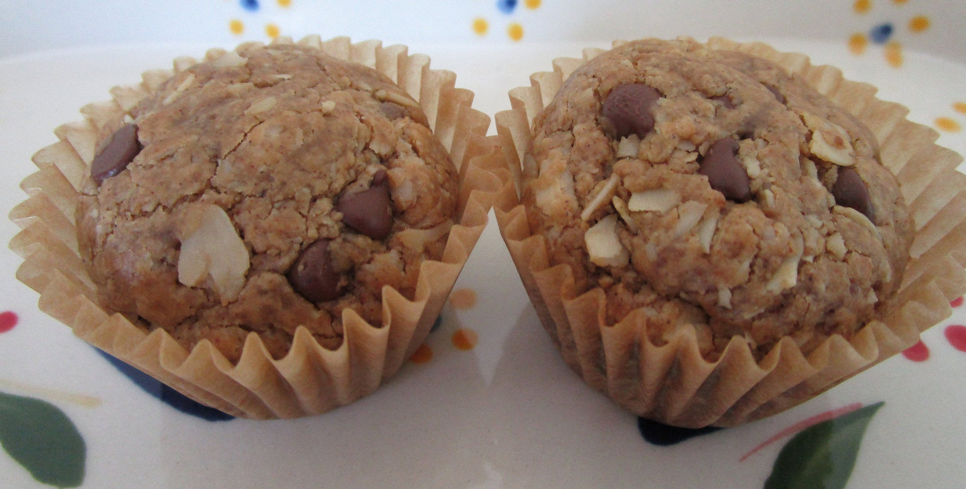 Gluten Free Mini Muffins, Oatmeal Chocolate Chip, Dairy Free, Vegan, Paleo, Nut Free, Coconut Sugar, Trail Mix, School safe snack, Low Sugar