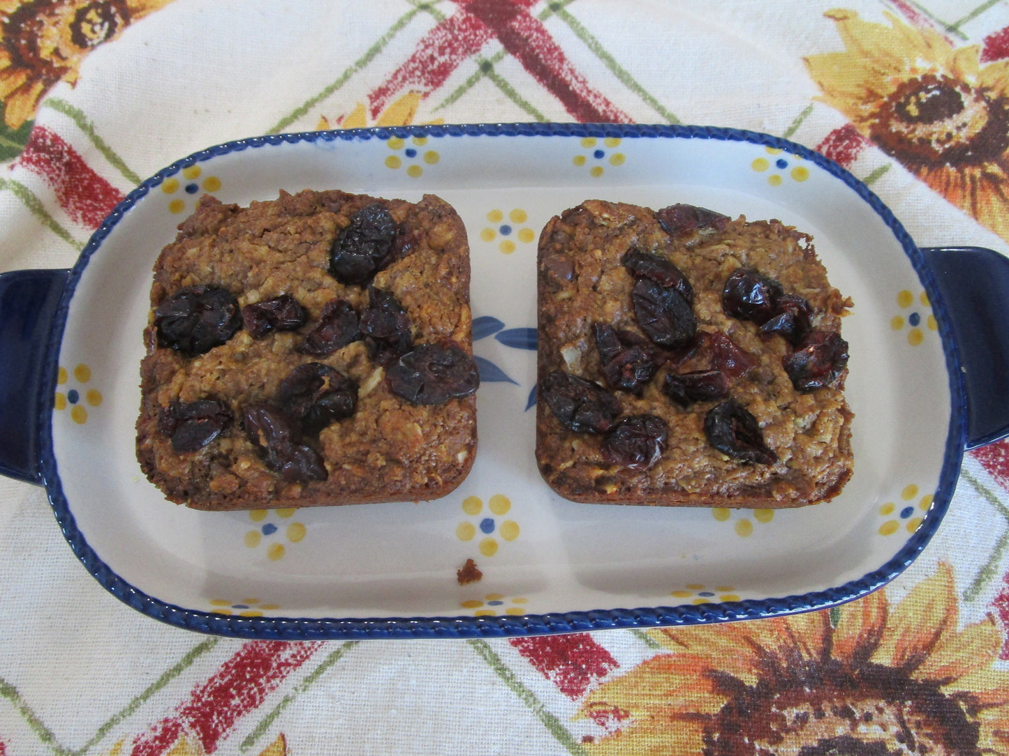 Cranberry Oatmeal Breakfast Square, Vegan, Gluten Free, Dairy Free, Allergy Friendly Snack Bar, Peanut Free Lunch Box friendly, Clean eating