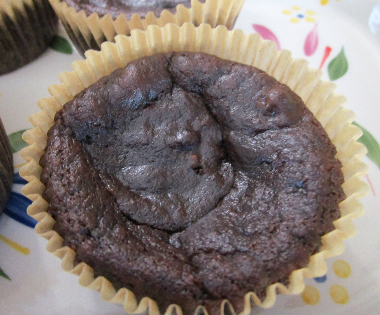 Double Chocolate Muffin, Gluten Free, Paleo, Egg Free, Dairy Free, Coconut Flour, Grain Free, Nut free, Anabolic Diet, Weight loss, Vegan