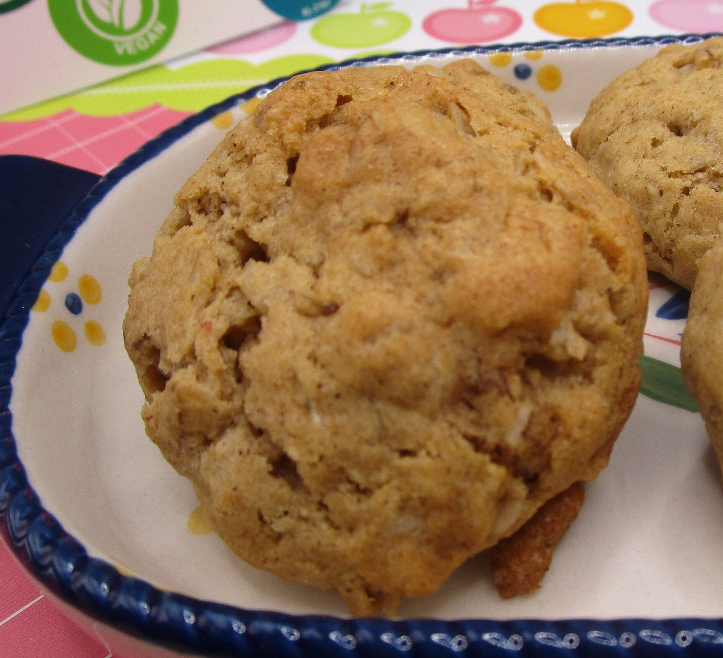 Sugar Free Oatmeal Cookies, Gluten Free, Dairy Free, Allergy Friendly Vegan Snack Gift, Nut Free, Low-Calorie Low-fat treats, school safe