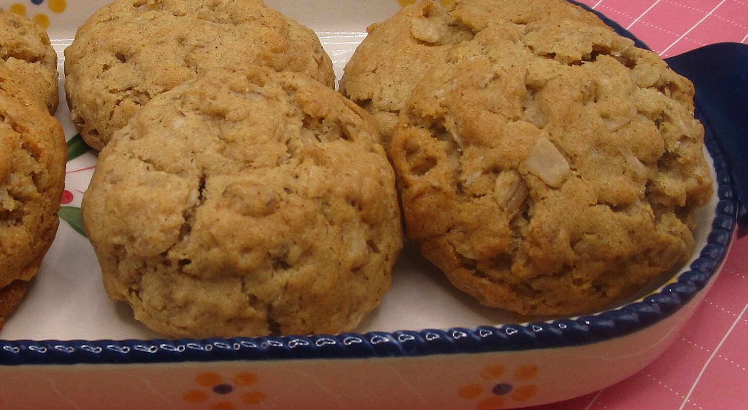 Sugar Free Oatmeal Cookies, Gluten Free, Dairy Free, Allergy Friendly Vegan Snack Gift, Nut Free, Low-Calorie Low-fat treats, school safe