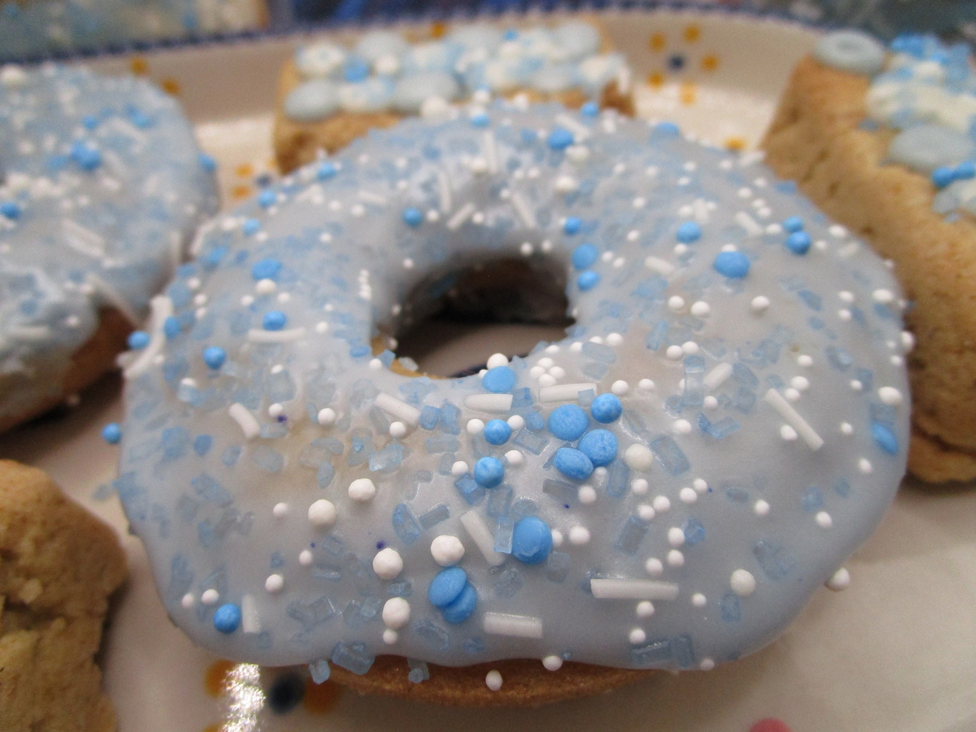 Gluten Free Donuts, Coconut Sugar, Dairy Free, Egg Free, Nut Free, Vegan, Plant Based Sprinkles, Birthday Gifts, Graduation Party, low Sugar