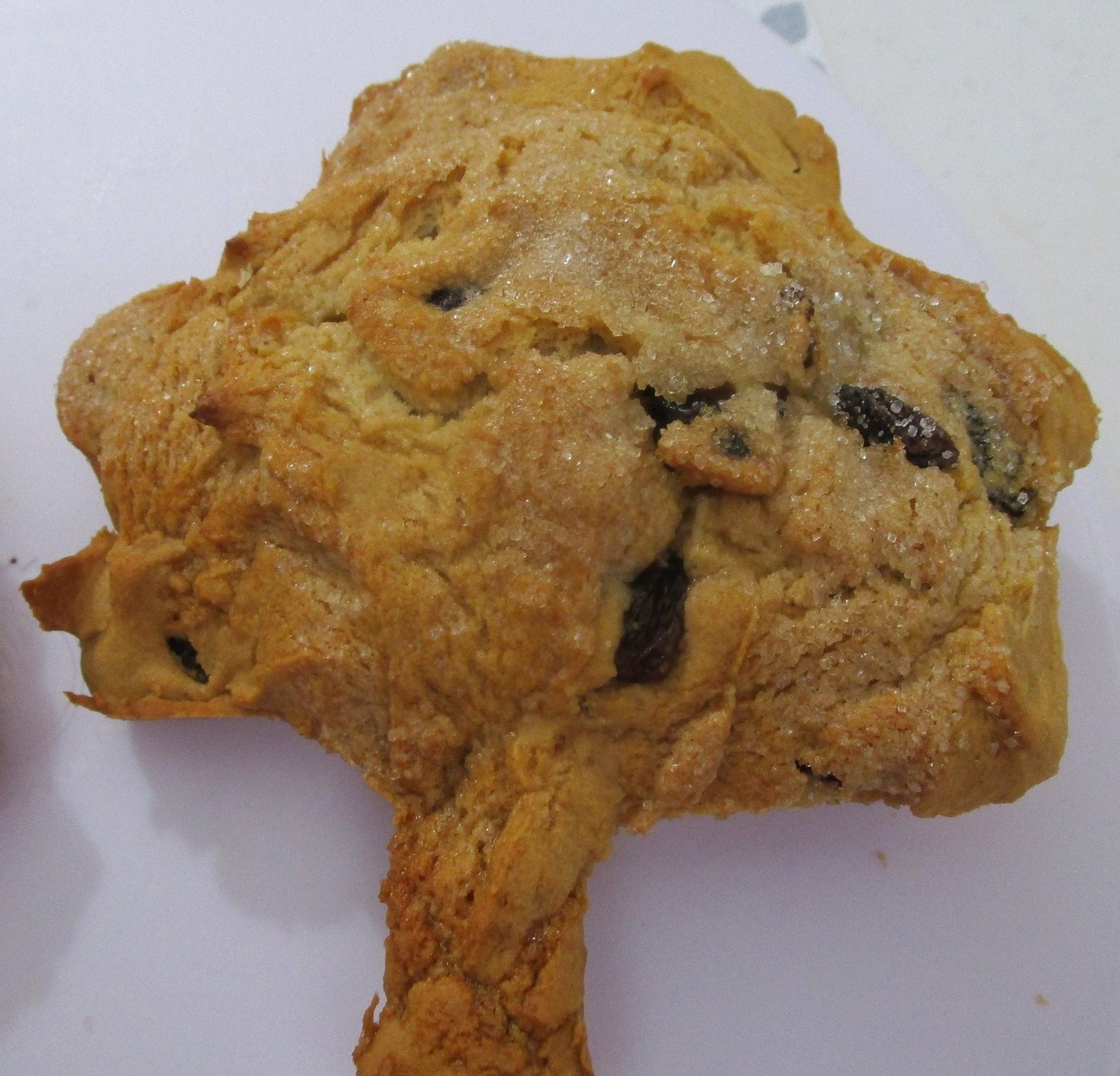 Saint Patrick's Day Bakery Box Sampler Gift, Gluten Free, Dairy Free, Vegan, Nut Free, Sugar Free, Keto, AIP Paleo, High Protein, Organic