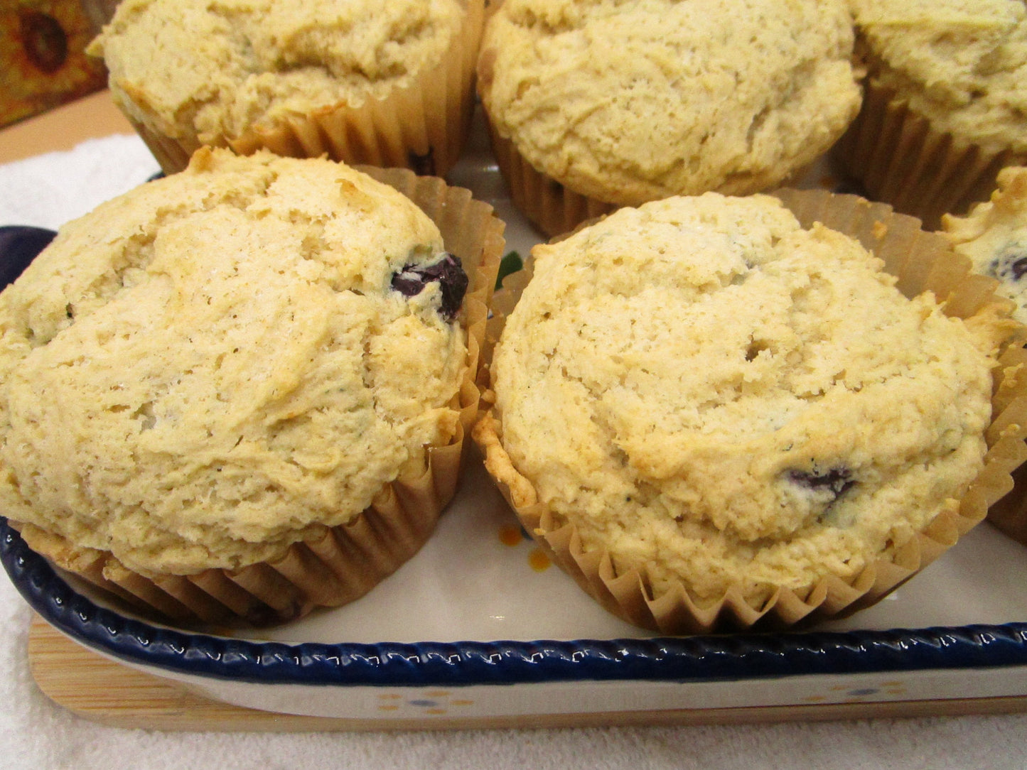 High Protein Muffins, Gluten Free, Sugar Free, Dairy Free, Egg Free, Monk Fruit, Vegan Collagen, Blueberry, Fitness Gifts, Healthy Breakfast