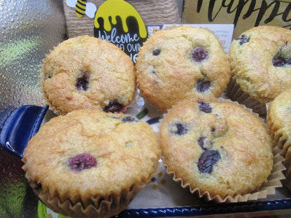 Gluten Free, Allergy-Friendly Blueberry Muffins, Diet Friendly & Delicious, Dairy Free, Nut Free, Organic, Healthy Breakfast, Low Fat snacks