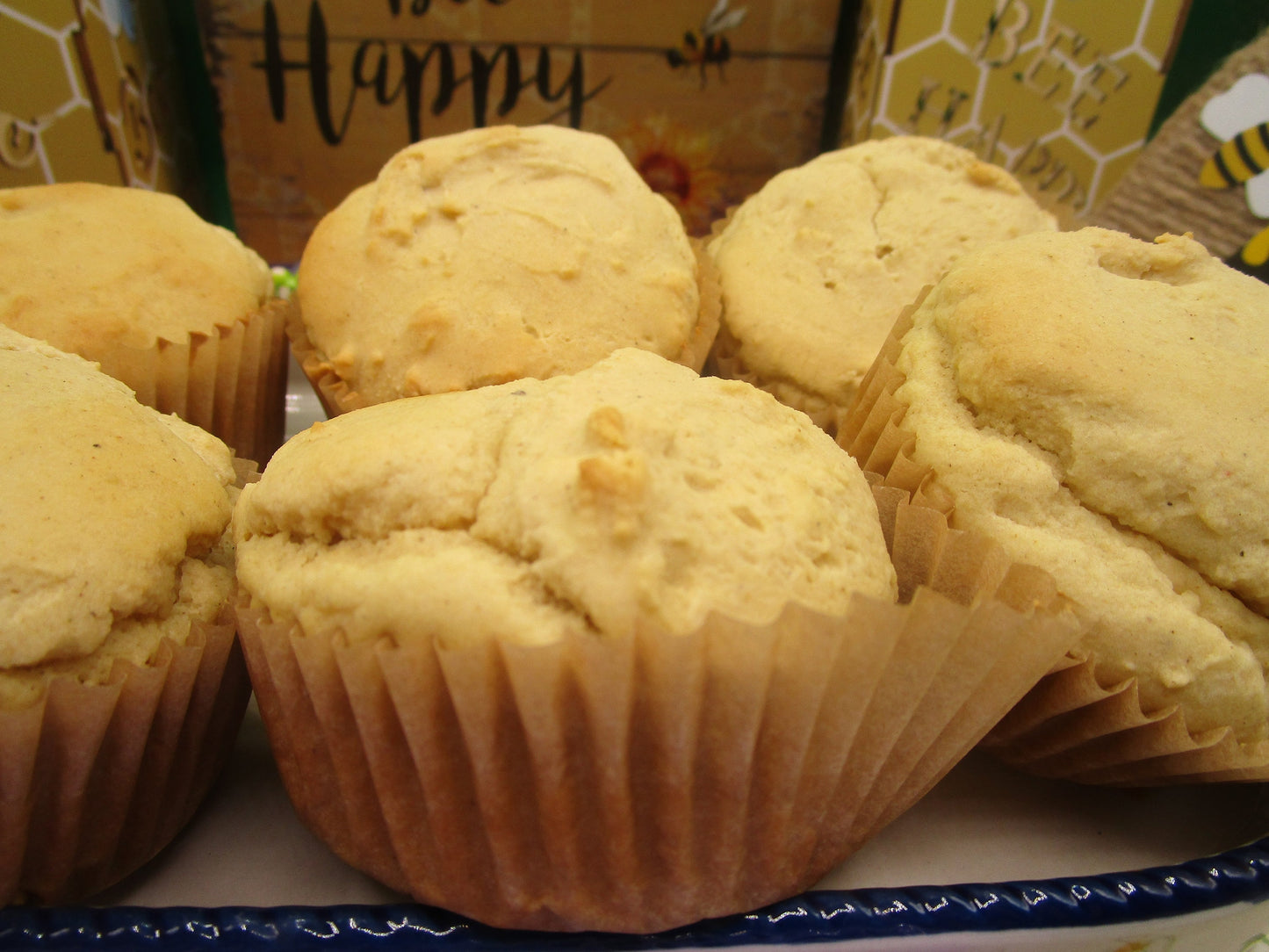 Gluten Free Biscuits, Dairy Free, Egg free, Vegan, Raisin, Cran Raisin, Brunch, Catering, Hostess Gift, Wedding, Sugar Free, No Sugar added