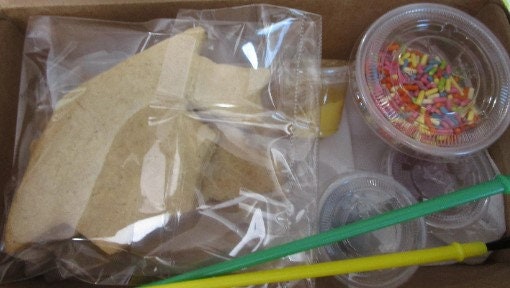 Cookie Decorating Kits, Gluten Free, Dairy Free, Vegan, Egg Free, Nut Free, Sugar Free, Custom Characters, Birthday Party Activity, favors