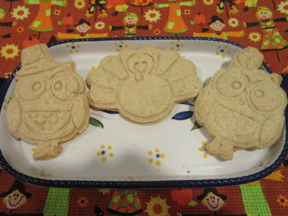 Gluten Free Cookie Kit, Thanksgiving, Dairy Free, Egg Free, School Safe, Peanut Free, Turkey, Pilgrim, Cookie Decorating, Kids Party Pack