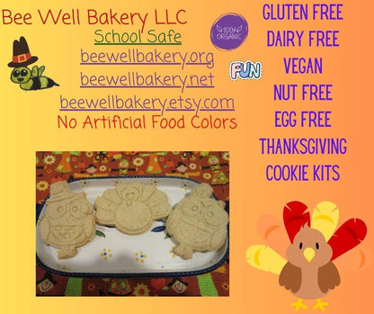 Gluten Free Cookie Kit, Thanksgiving, Dairy Free, Egg Free, School Safe, Peanut Free, Turkey, Pilgrim, Cookie Decorating, Kids Party Pack