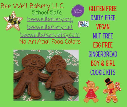 Gluten Free Gingerbread Cookie Kit, Boy, Girl, Dairy Free, Egg Free, Peanut Free, Cookie Decorating, Holiday Crafts, Christmas Gifts, Party