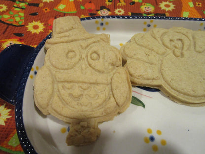 Gluten Free Cookie Kit, Thanksgiving, Dairy Free, Egg Free, School Safe, Peanut Free, Turkey, Pilgrim, Cookie Decorating, Kids Party Pack