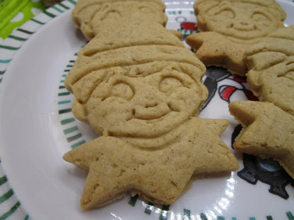 Gluten Free Cookie Kit, Elf on Shelf, Dairy Free, Egg Free, School Safe, Peanut Free, Turkey, Pilgrim, Cookie Decorating, Kids Party Pack