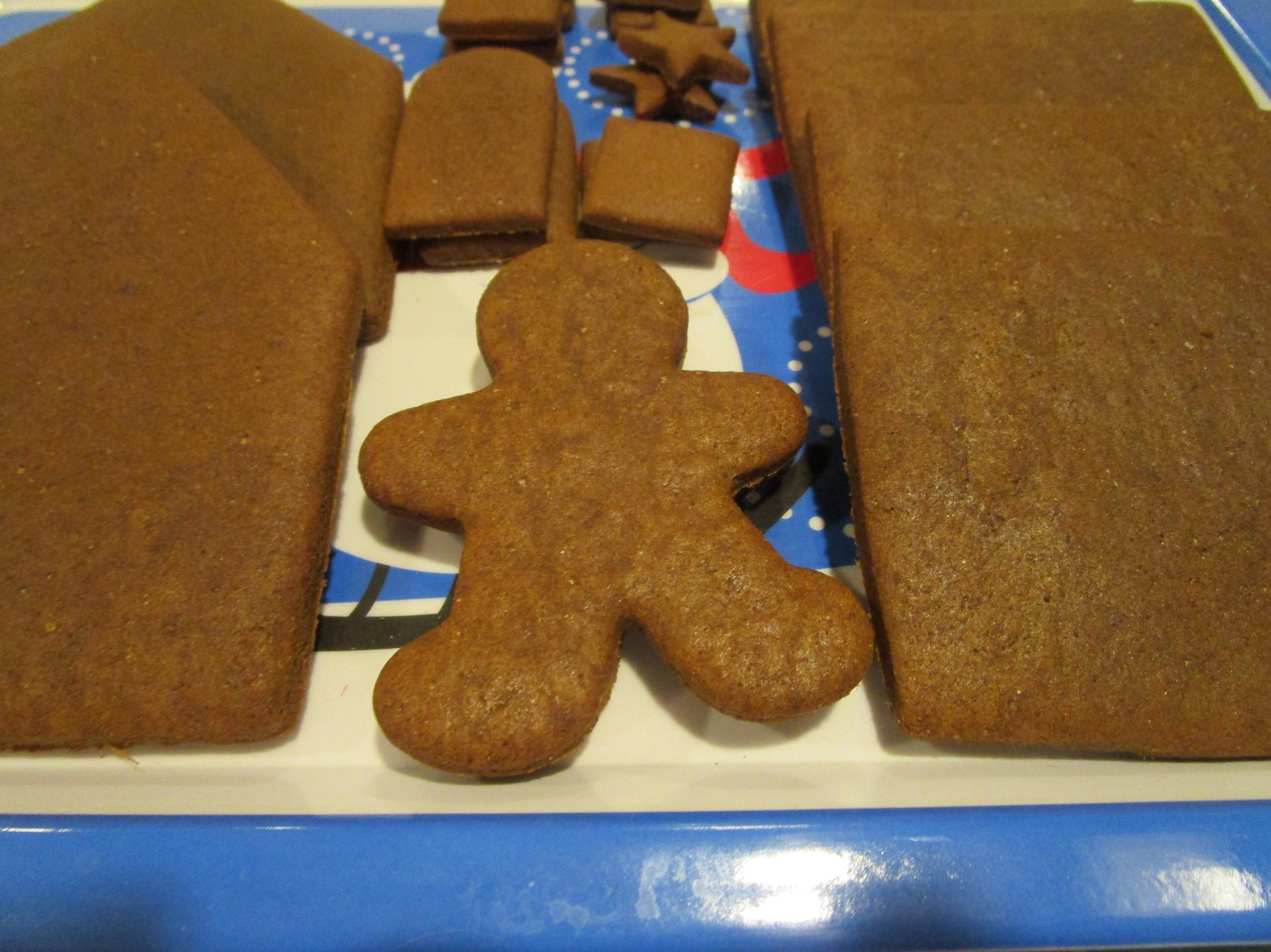 Gluten Free Gingerbread House Kit, Dairy Free, Vegan, Egg Free, Nut Free, Organic, Cookie Decorating, Holiday Crafts, Secret Santa Gifts