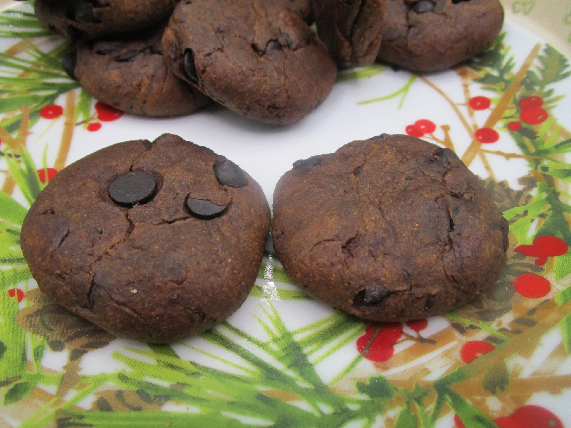 AIP Paleo, Tiger Nut, Carob Peppermint Cookies, Gluten Free, Dairy Free, Egg Free, Grain Free, Autoimmune Protocol, Holiday Gift, Soft Baked
