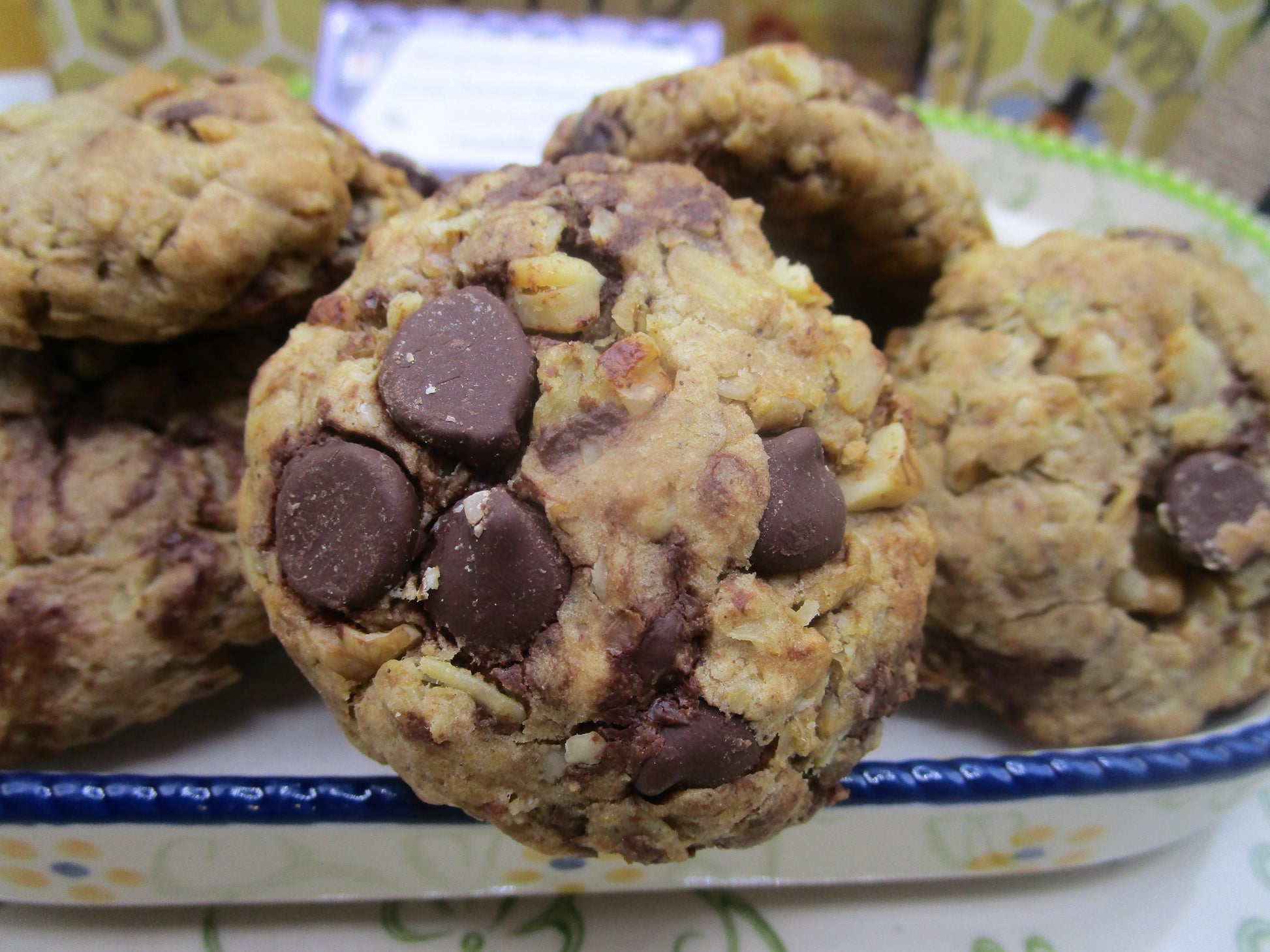 Gluten Free Cookies, Oat Dark Chocolate & Walnut, Dairy Free, Egg Free, Vegan, Low Sugar, Low Fat, Birthday, Valentines Day Gift, Organic