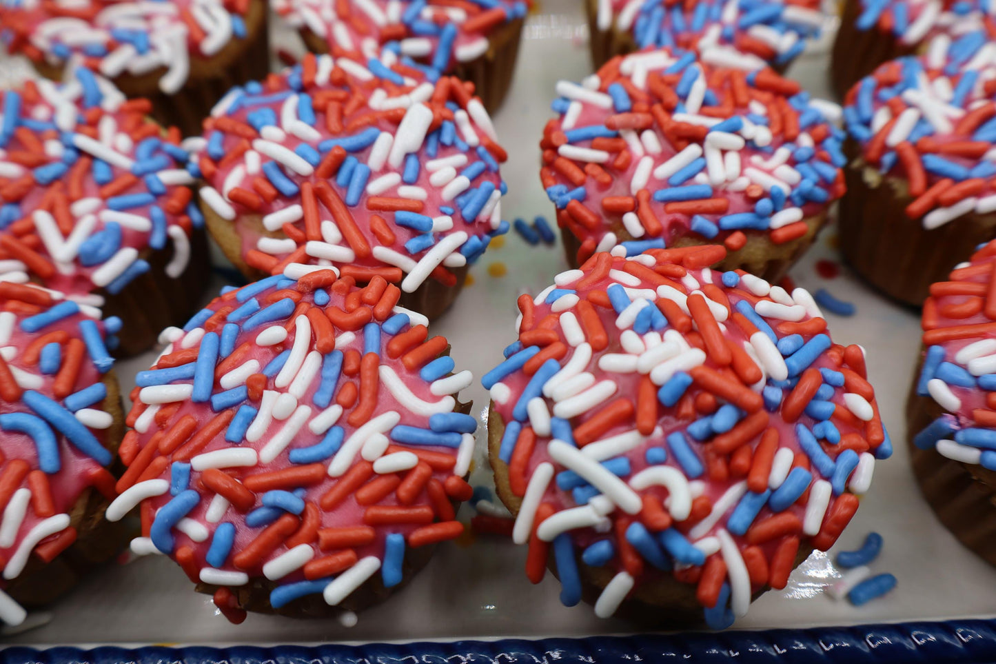 Mini Gluten Free Cupcakes, Patriotic, two bite, Dairy Free, Egg Free, Vegan, Nut Free, School Safe, Chocolate, Vanilla, July 4th Party,