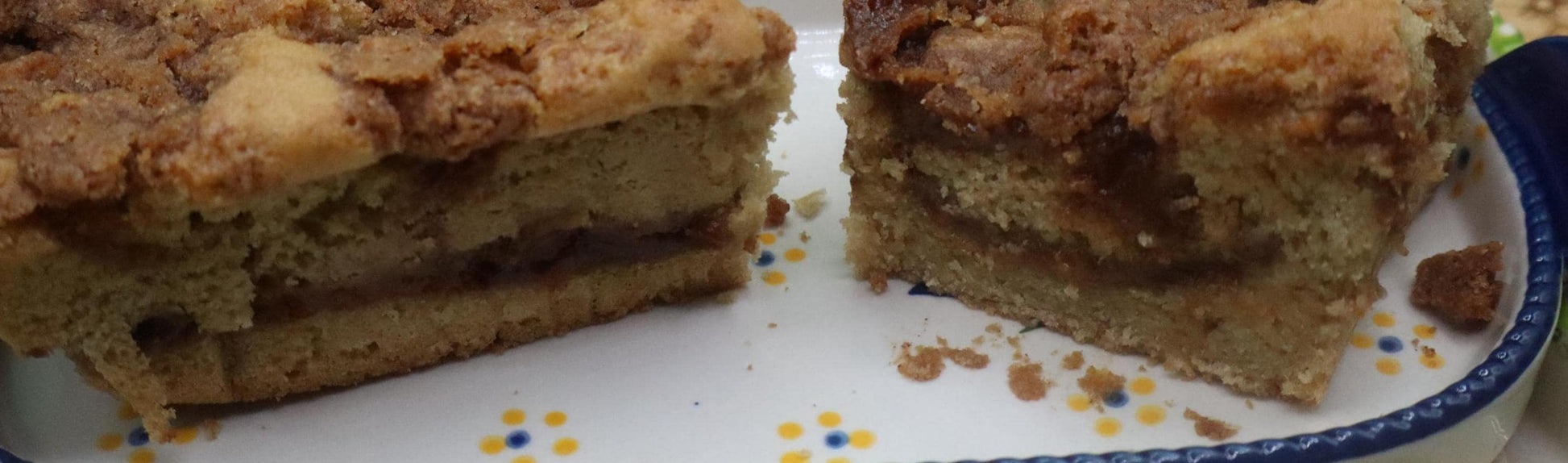 Sugar Free Sourdough Cake, Cinnamon Swirl, Gluten Free, Dairy Free, Egg Free, Vegan, Nut Free, Yeast Free, Birthday Gift, Holiday Dessert