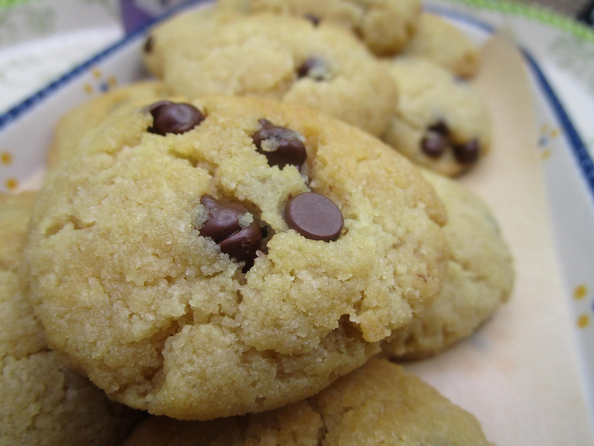 Protein Cookies, Banana Chocolate Chip, Gluten Free, Sugar Free, Dairy Free, Vegan, Peanut Free, Low Carb snacks, Holiday Fitness Gifts
