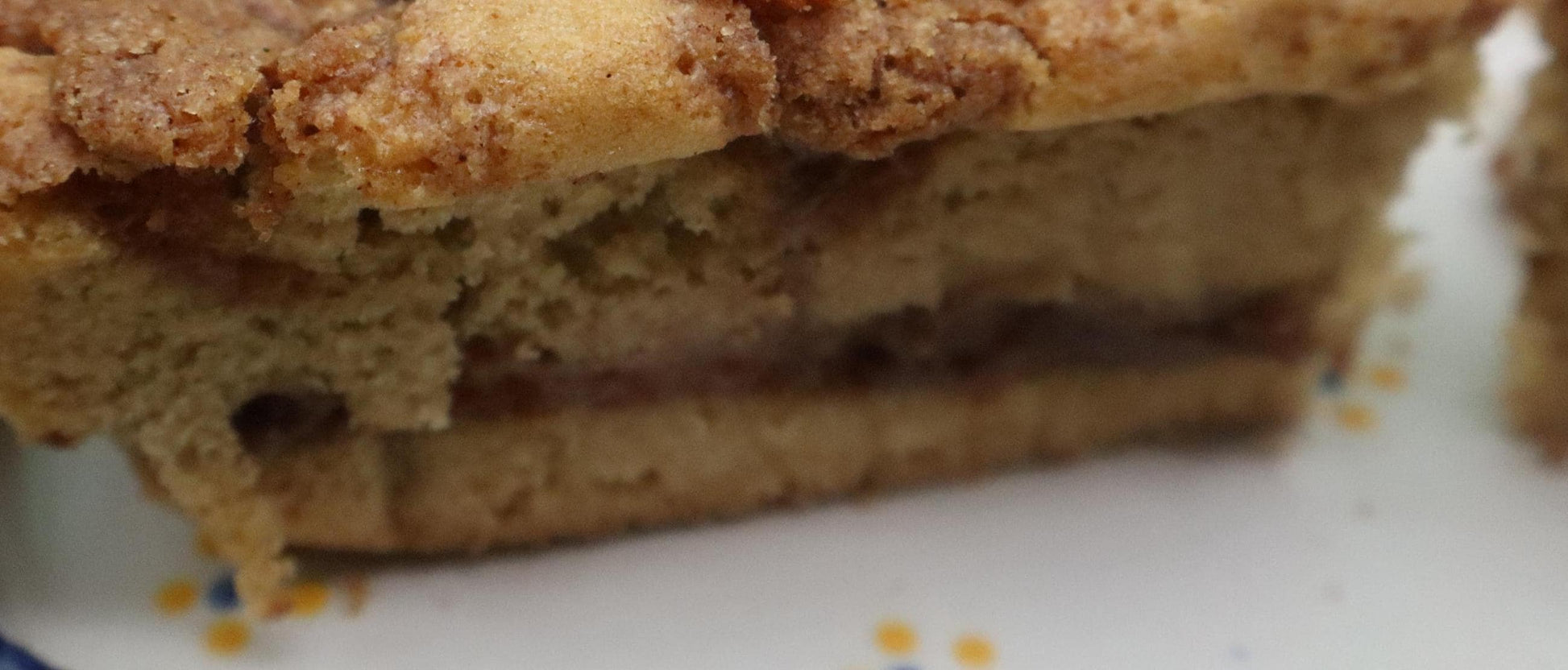 Sourdough Cake, Cinnamon Swirl, Gluten Free, Dairy Free, Egg Free, Vegan, Nut Free, Yeast Free, Birthday Gift, Holiday Dessert, Breakfast