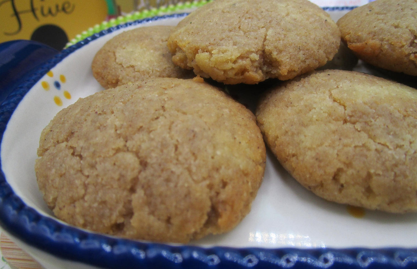 High Protein Cookies, Snickerdoodle, Gluten Free, Sugar Free, Dairy Free, Egg Free, Coconut Free, Vegan Collagen, Fitness Gift, Father's Day