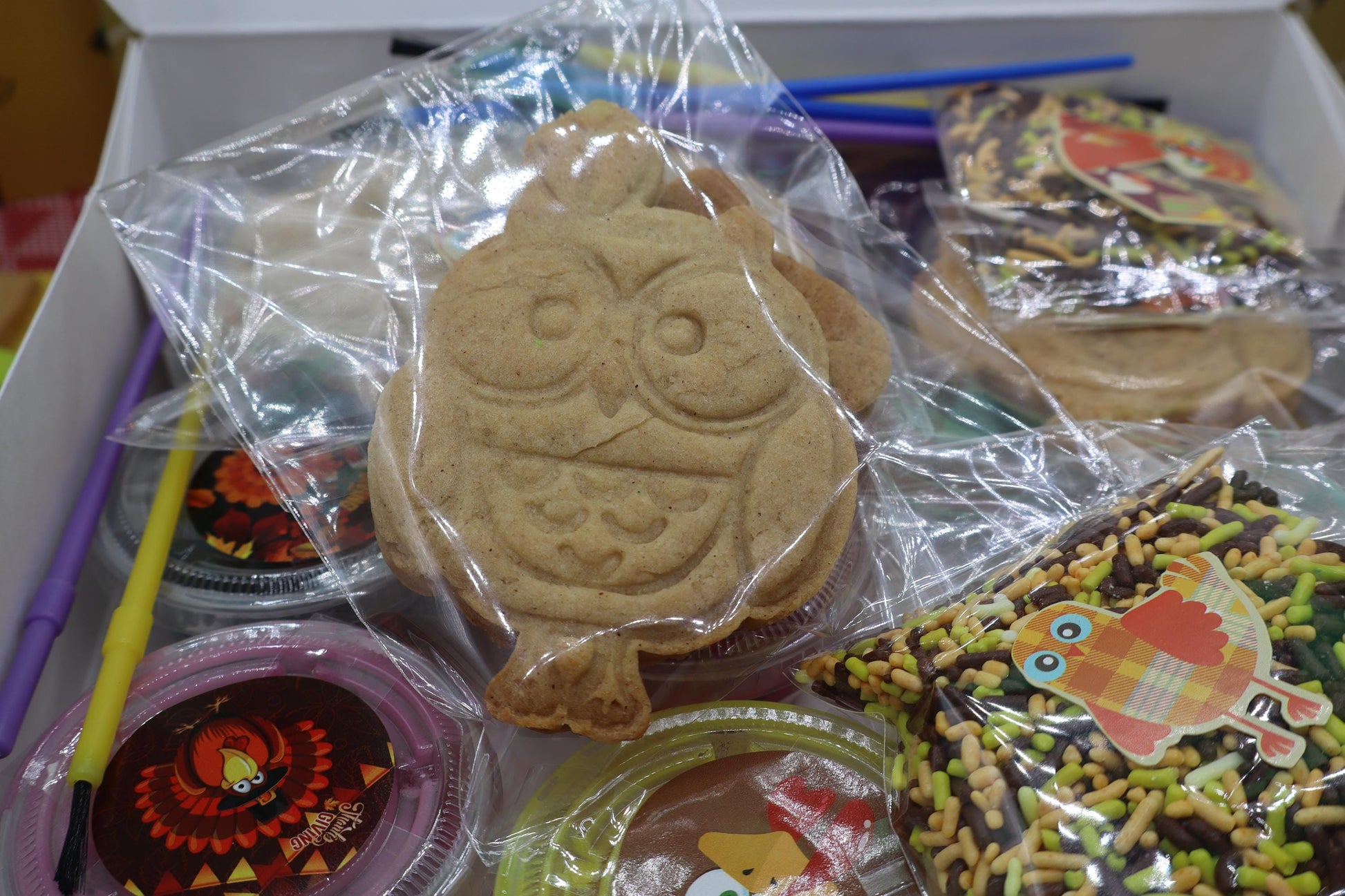 Thanksgiving Gluten-Free Cookie Decorating Kits, Allergy-Friendly, Dairy Free, Peanut Free, Natural Colors, Sugar Free, School Party Treats