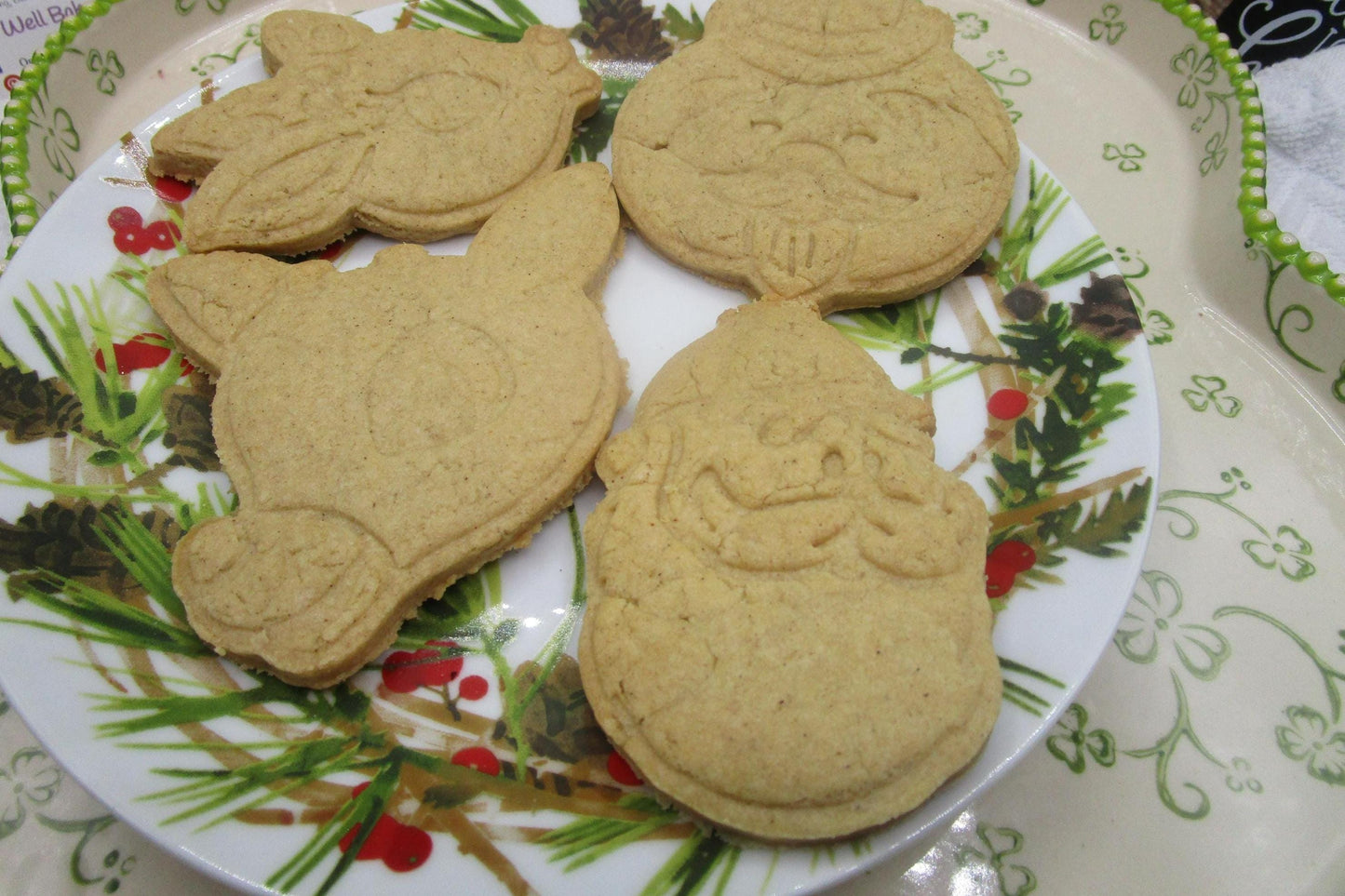 Rudolph Cookie Kit, Gluten Free, Red Nose Reindeer, Classic Holiday Movie, Island of Miss Fit Toys, Dairy free, Clarice, Hermey, Charlie, NF