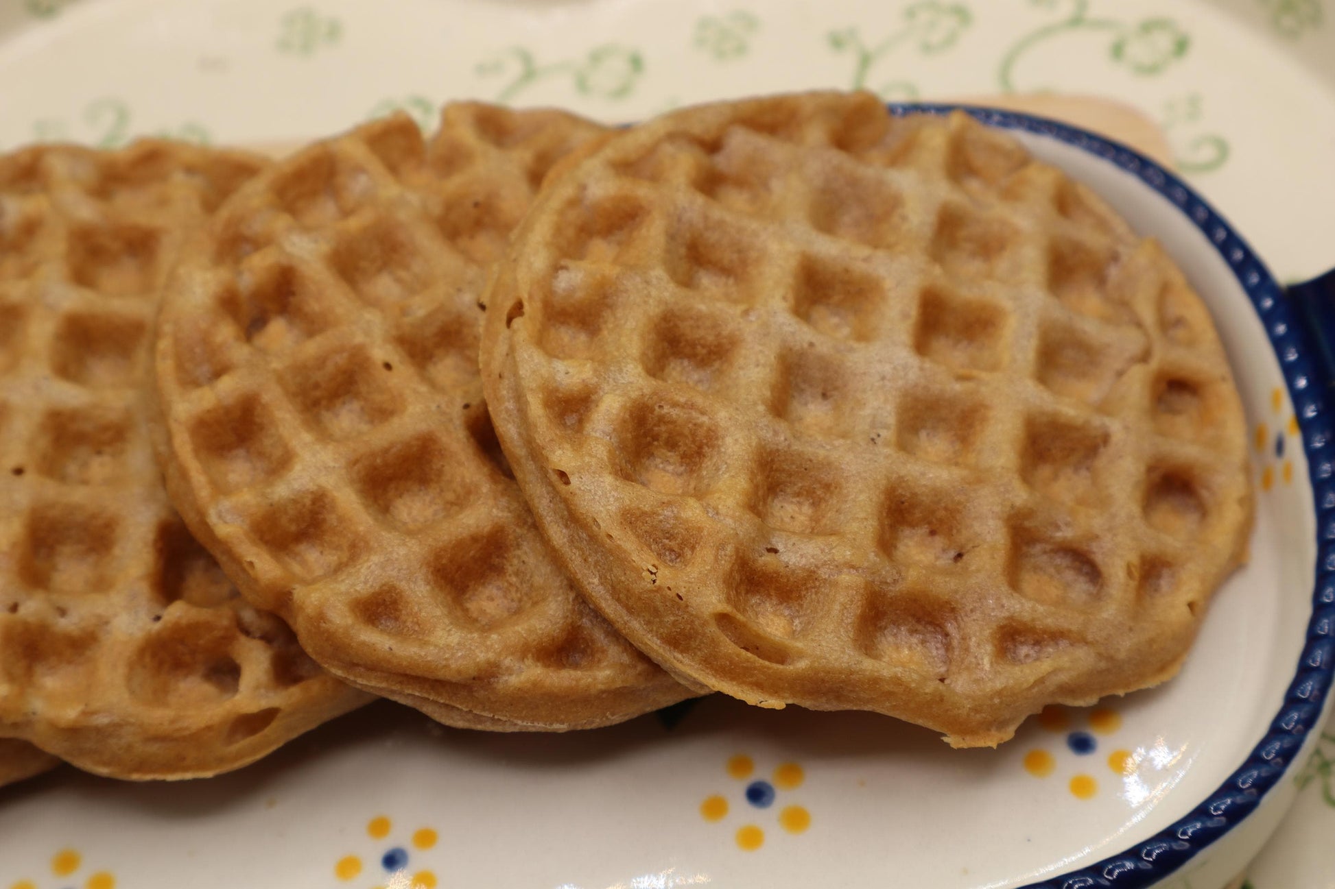 Grain Free Blueberry Waffles, AIP Paleo, Gluten Free, Vegan, Egg Free, Dairy Free, Ready to go, No added Sugar, Mother's Day Breakfast, Gift