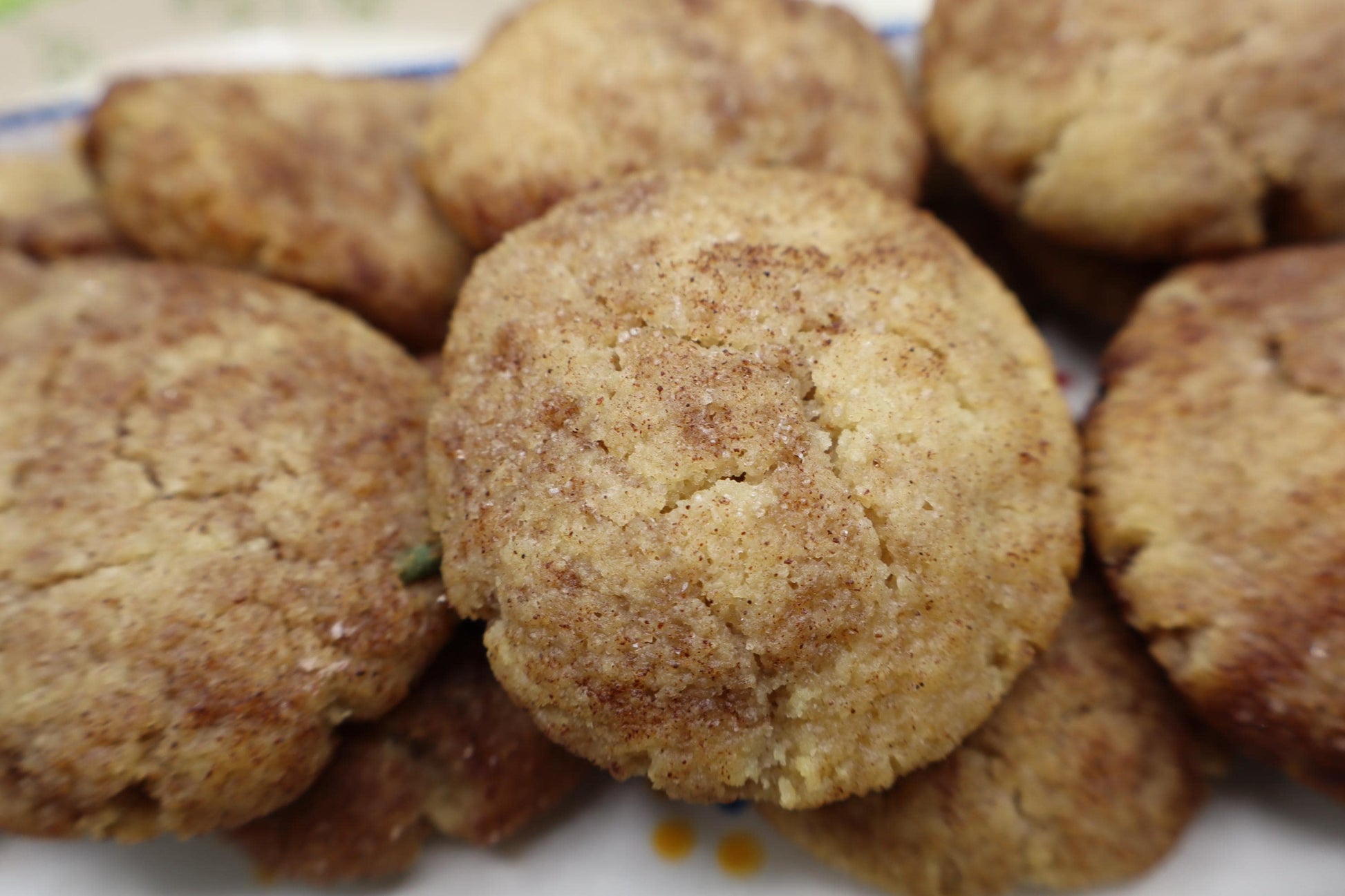 High Protein Cookies, Snickerdoodle, Gluten Free, Sugar Free, Dairy Free, Egg Free, Coconut Free, Vegan Collagen, Fitness Gift, Father's Day