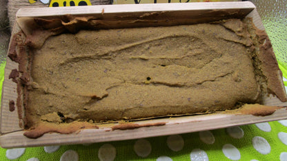 High Protein Matcha Pumpkin Spice Loaf, Vegan, Gluten-Free, Dairy Free, Egg Free, Nut Free, Green Tea, Fitness Gift, Valentine's Day Gift