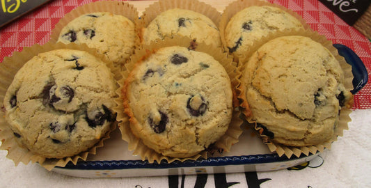 Gluten Free Lemon Blueberry Sour Dough Protein Muffins, Dairy Free, Vegan, Nut Free, Low Sugar, Low Fat, Fitness Breakfast, Healthy Brunch