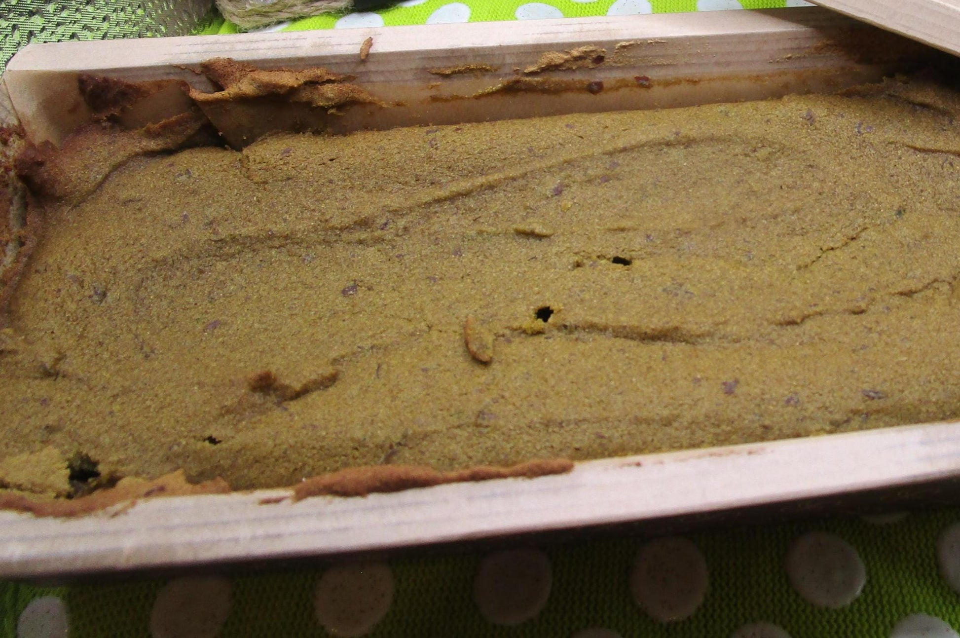 High Protein Matcha Pumpkin Spice Loaf, Vegan, Gluten-Free, Dairy Free, Egg Free, Nut Free, Green Tea, Fitness Gift, Valentine's Day Gift