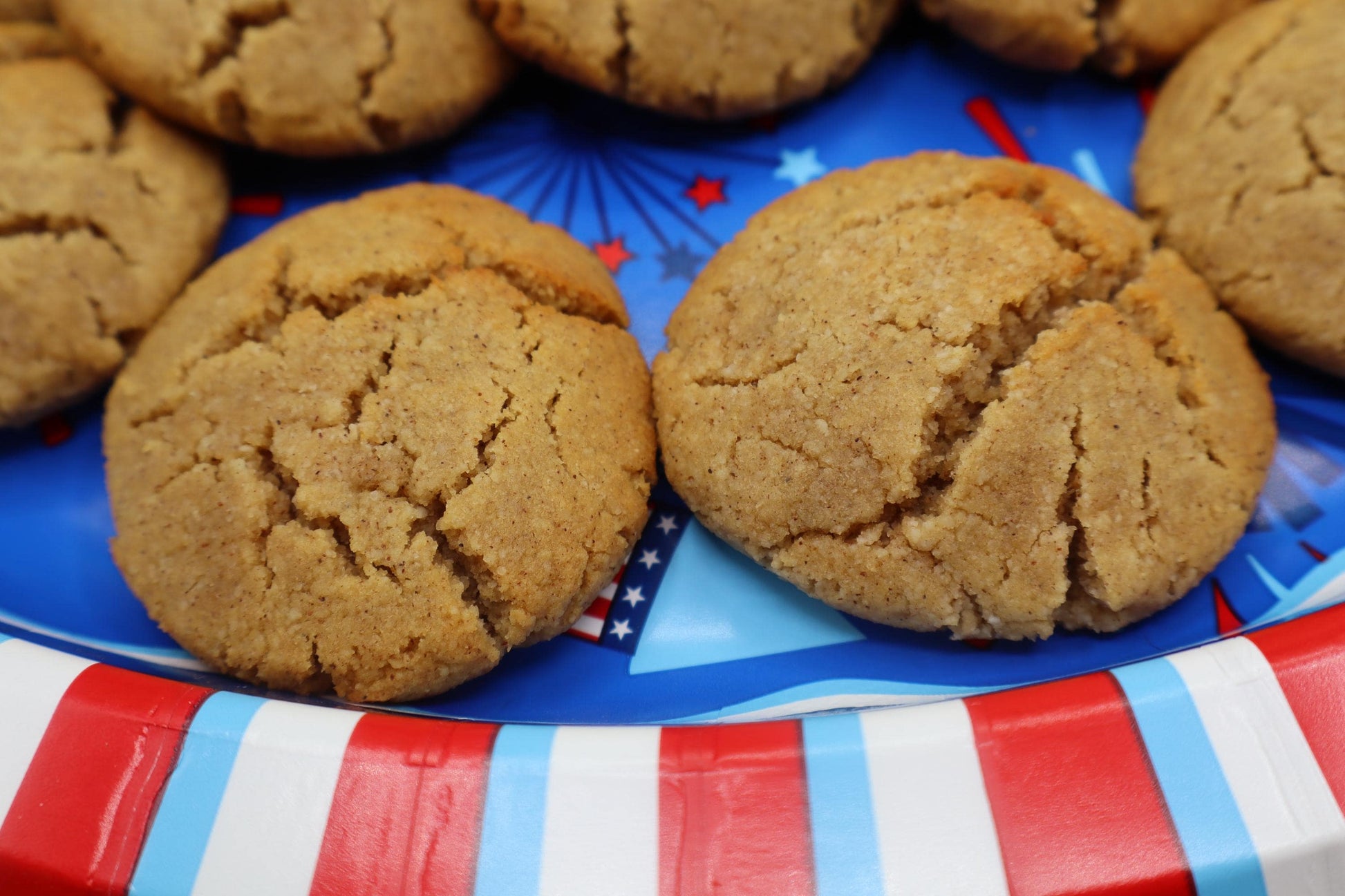 SCD Chocolate Chip Cookies, Grain Free, Gluten Free, Dairy Free, Specific Carbohydrate, Honey Sweetened Paleo desserts, Low Sugar Low Carb