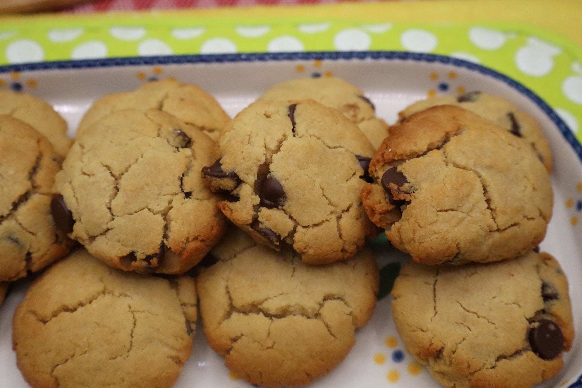SCD Chocolate Chip Cookies, Grain Free, Gluten Free, Dairy Free, Specific Carbohydrate, Honey Sweetened Paleo desserts, Low Sugar Low Carb