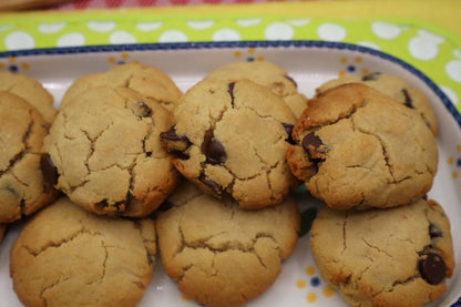 SCD Chocolate Chip Cookies, Grain Free, Gluten Free, Dairy Free, Specific Carbohydrate, Honey Sweetened Paleo desserts, Low Sugar Low Carb