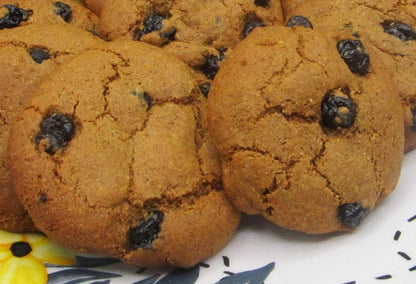 AIP Paleo Cinnamon & Raisin Cookie, Grain Free, Gluten Free, Dairy Free, Egg Free, Autoimmune Protocol, Wellness Gift, Soft Baked, Tiger Nut