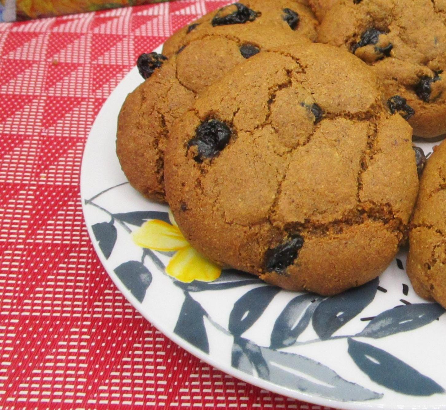 AIP Paleo Cinnamon & Raisin Cookie, Grain Free, Gluten Free, Dairy Free, Egg Free, Autoimmune Protocol, Wellness Gift, Soft Baked, Tiger Nut
