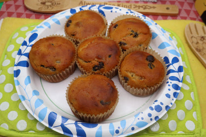 Sugar Free Muffins, Gluten Free, Dairy Free, Vegan, Organic Fruit, Chocolate Chip, Wellness Gift, Low Calorie Breakfast, Birthday Brunch