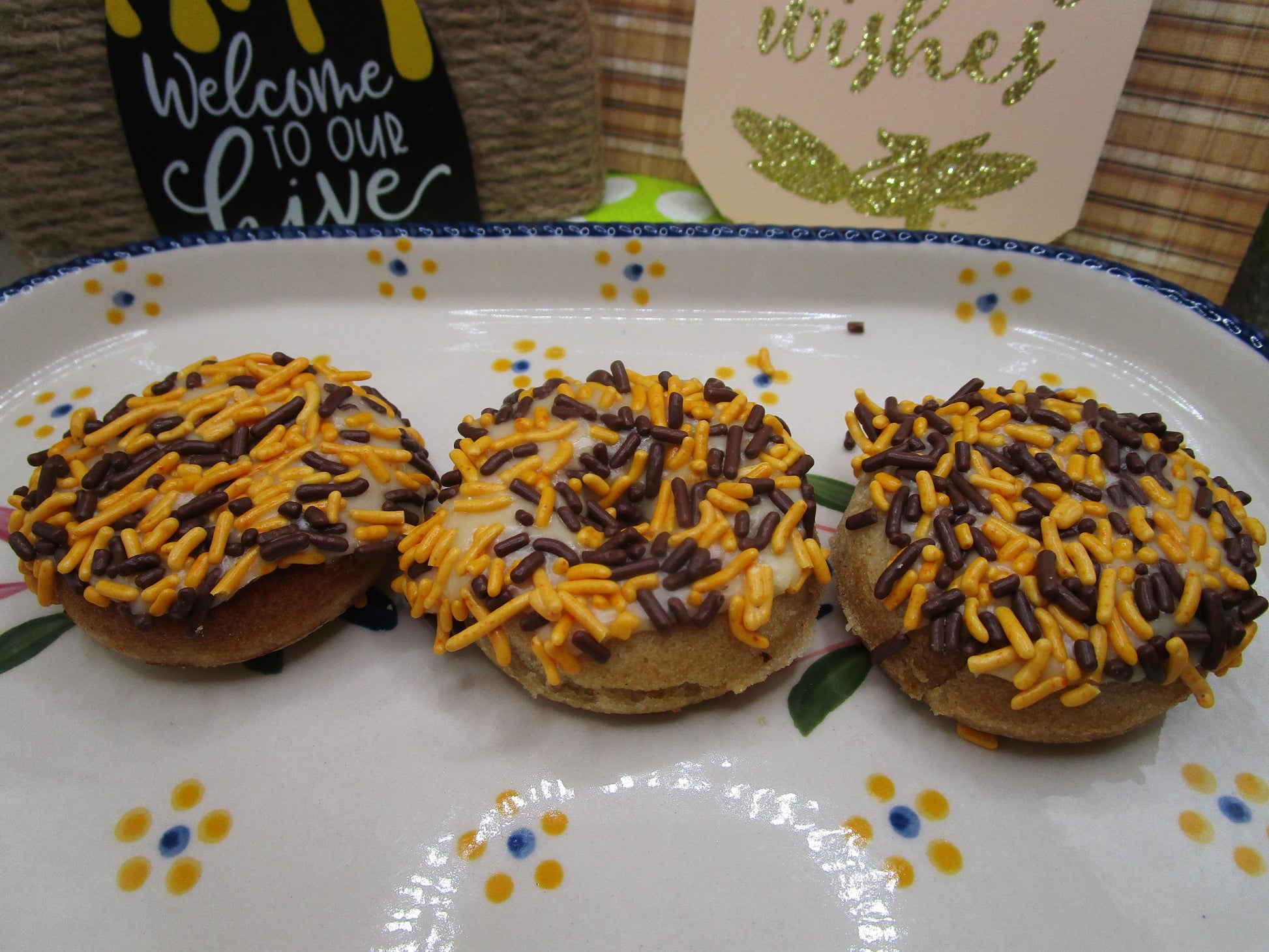 Gluten Free Mini Donuts Frosted with Natural Sprinkles, Dairy Free, Vegan, School Safe Treats, Nut Free, Birthday Gifts, Camp Snacks, Pool